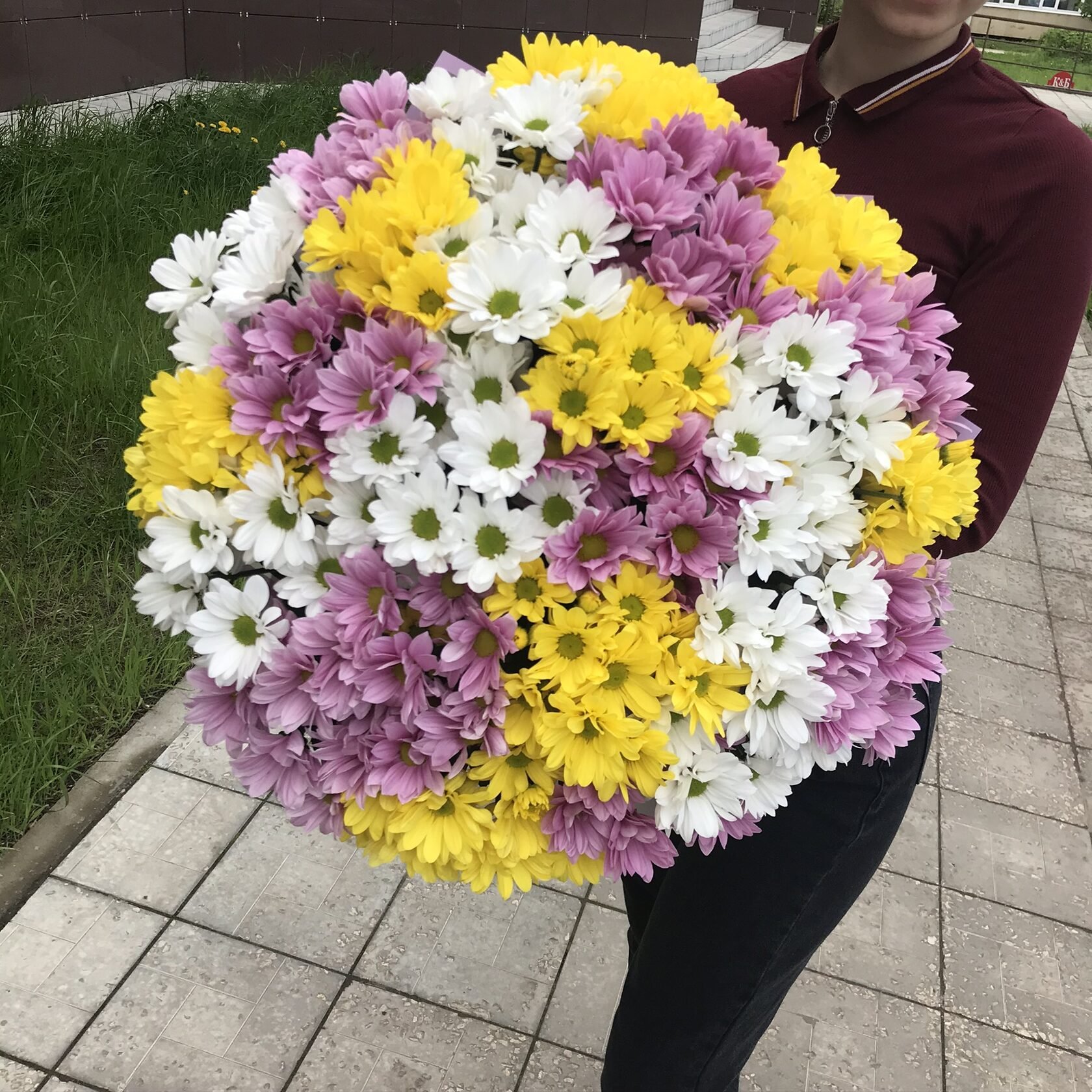 19 Кустовых Хризантем Микс